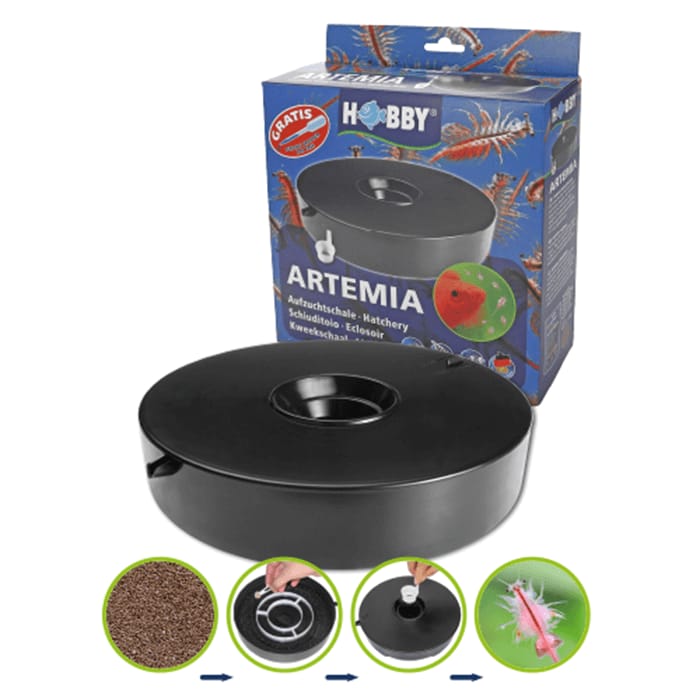 Plat d'élevage d'artémias Hobby